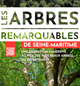exposition "arbres remarquables"