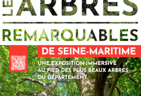 exposition "arbres remarquables"