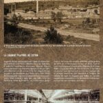 2-LA GRANDE FILATURE DE COTON