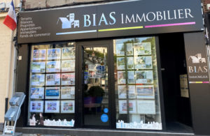 bias immobilier