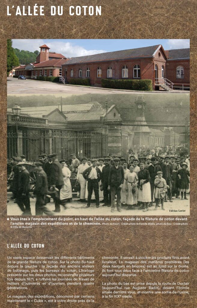 L'allée du coton
