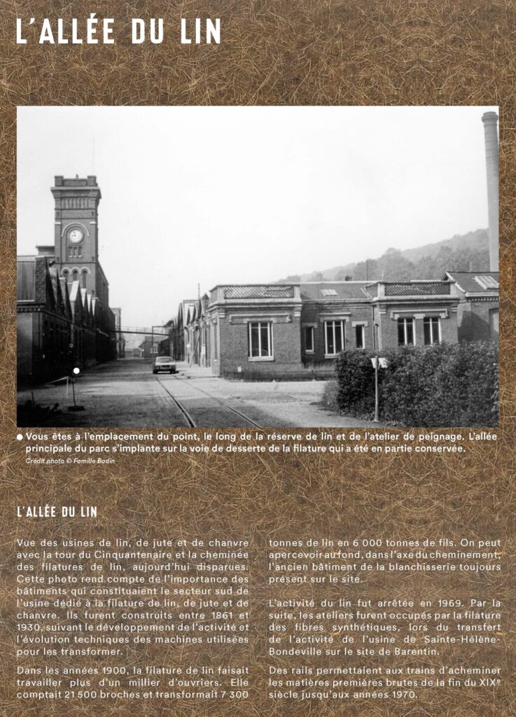 L'allée du lin