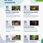 mercredi cert affiche 2026 (4)