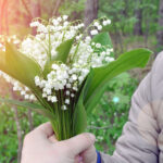 Muguet du 1er Mai